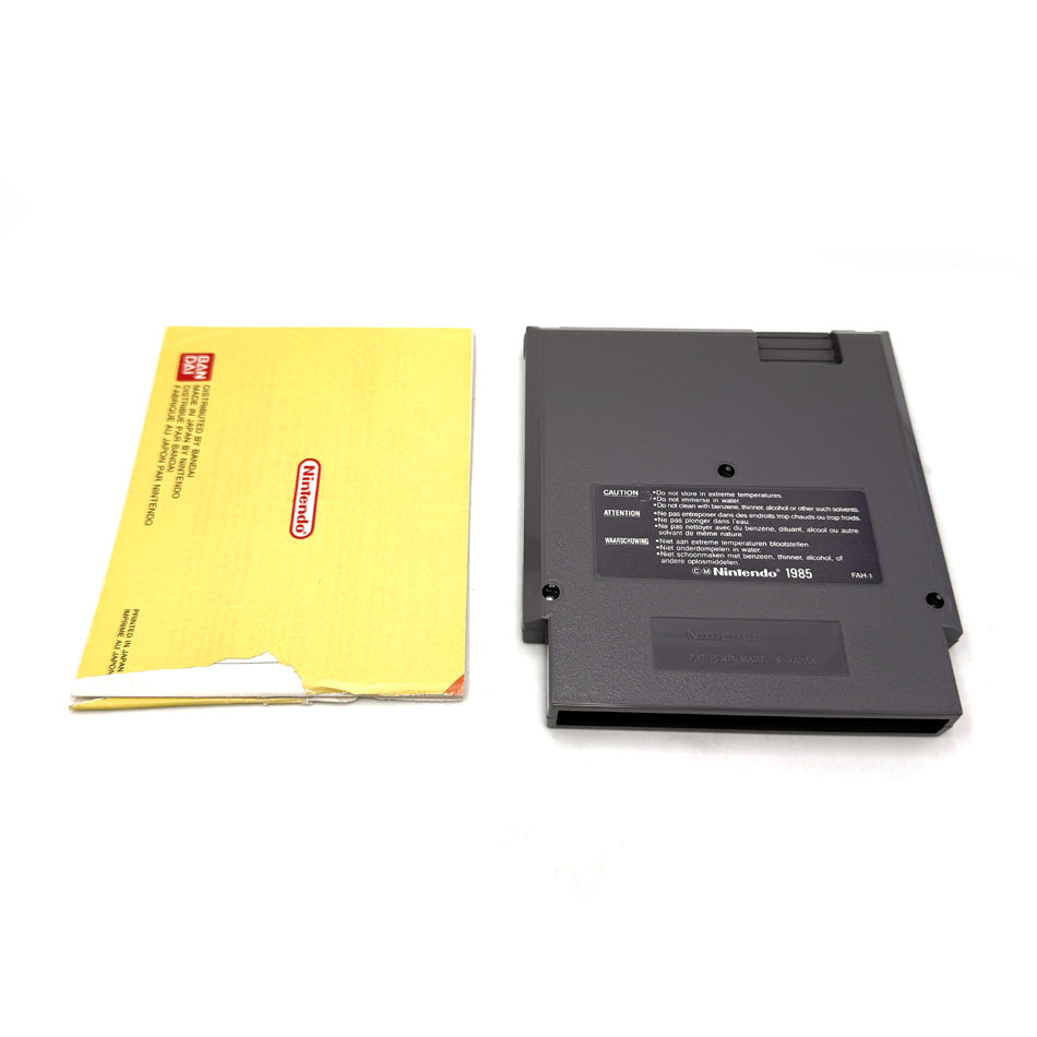 Kickle Cubicle Nintendo NES