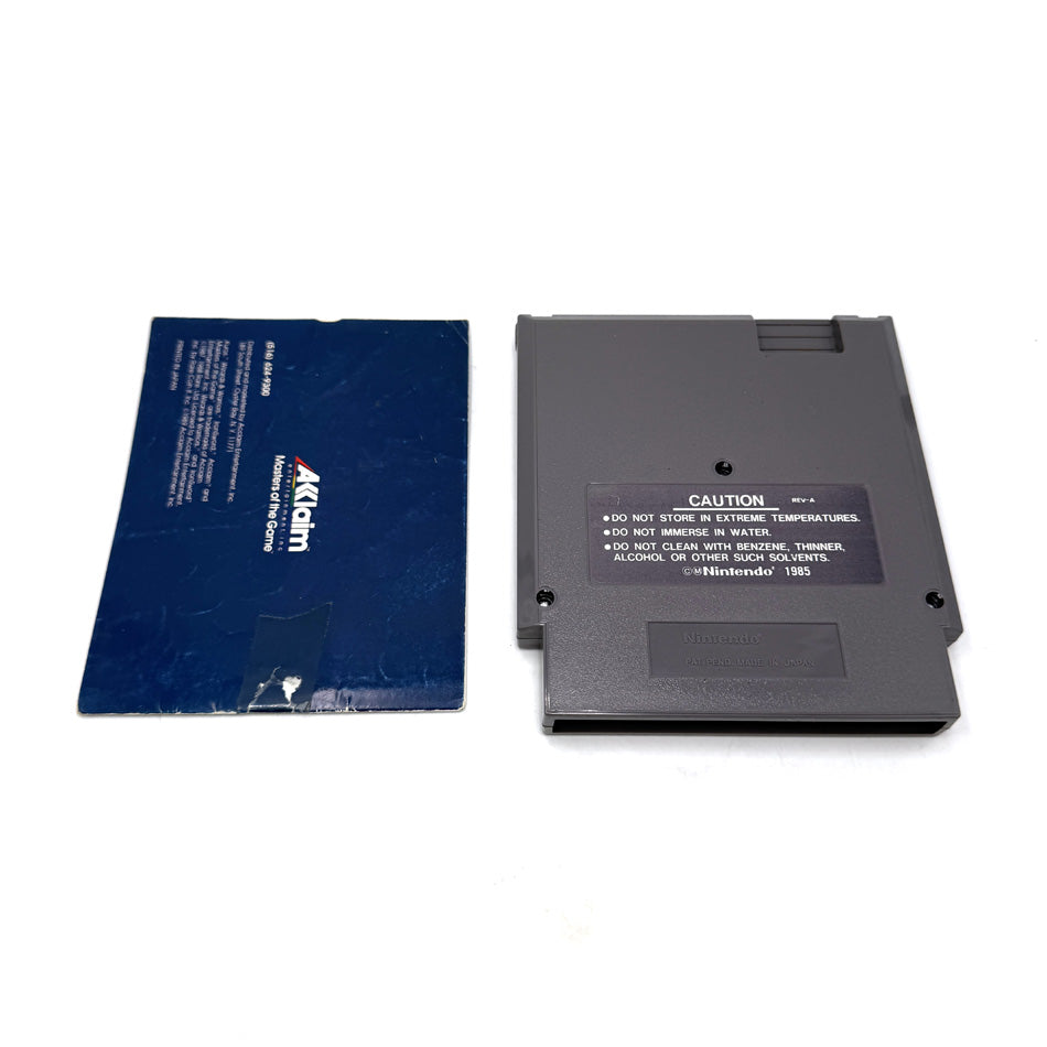 Iron Sword Wizards & Warriors II Nintendo NES