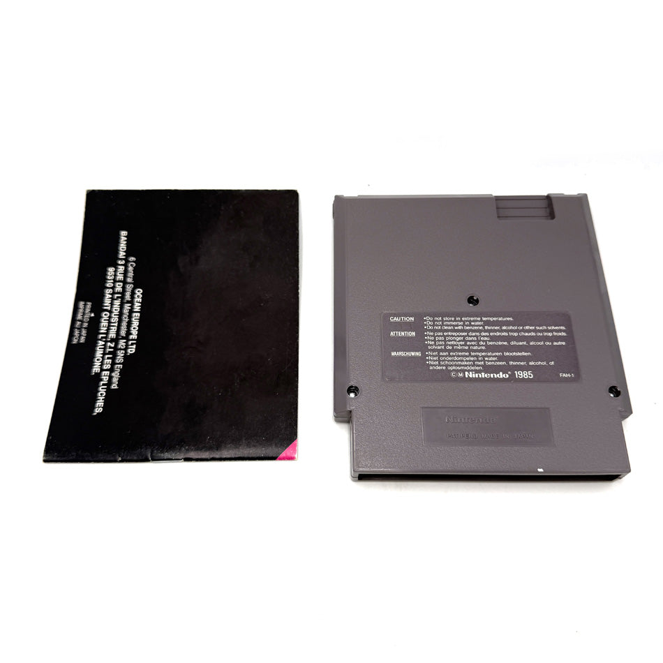 The NewZealand Story Nintendo NES