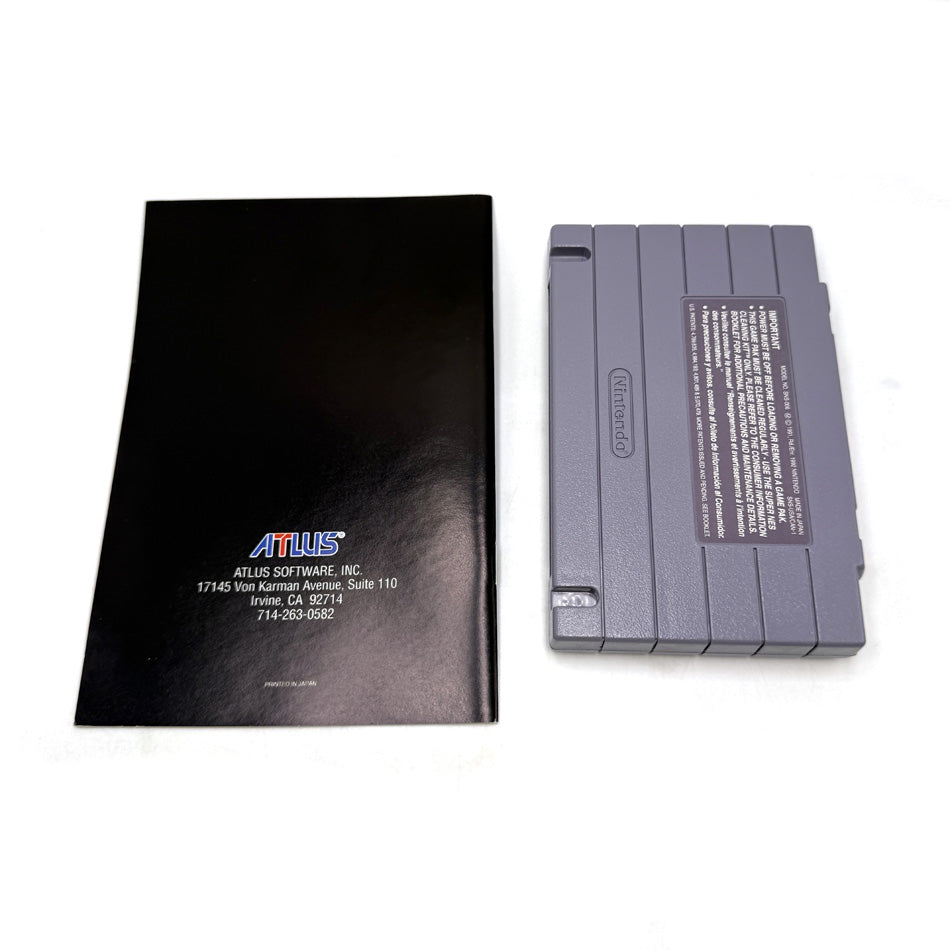 Power Instinct Super Nintendo