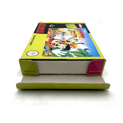 Disney's Goof Troop Super Nintendo