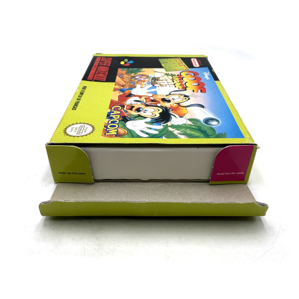 Disney's Goof Troop Super Nintendo