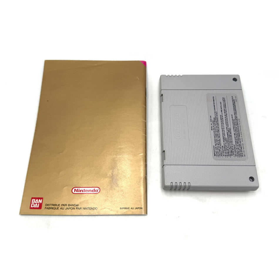 The Legend Of Zelda A Link To The Past Super Nintendo