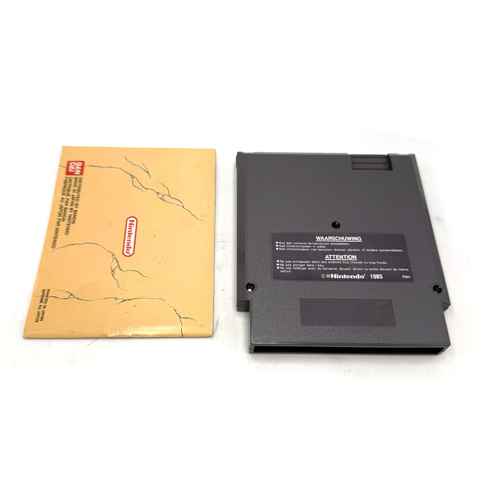 Faxanadu Nintendo NES