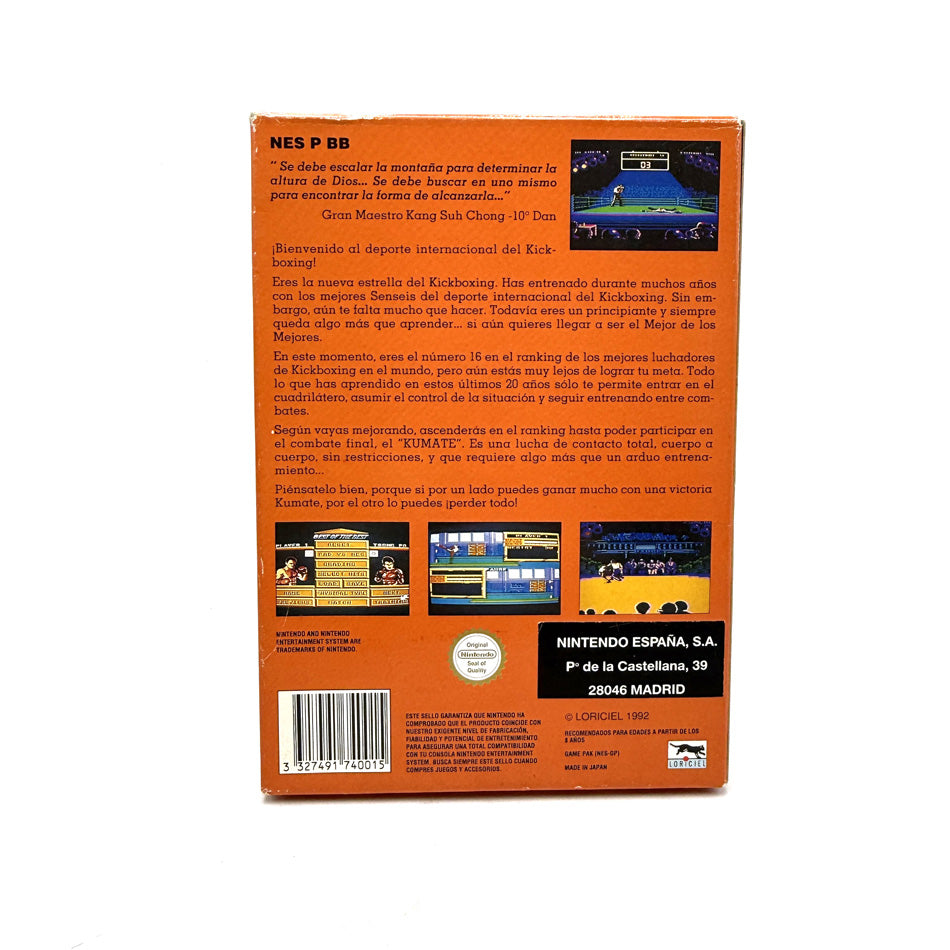 Best of the Best Championship Karate Nintendo NES