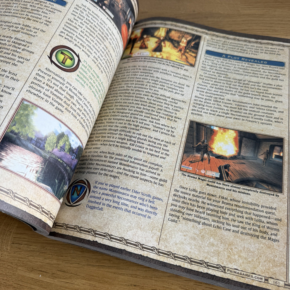 Official Game Guide The Elder Scrolls IV Oblivion