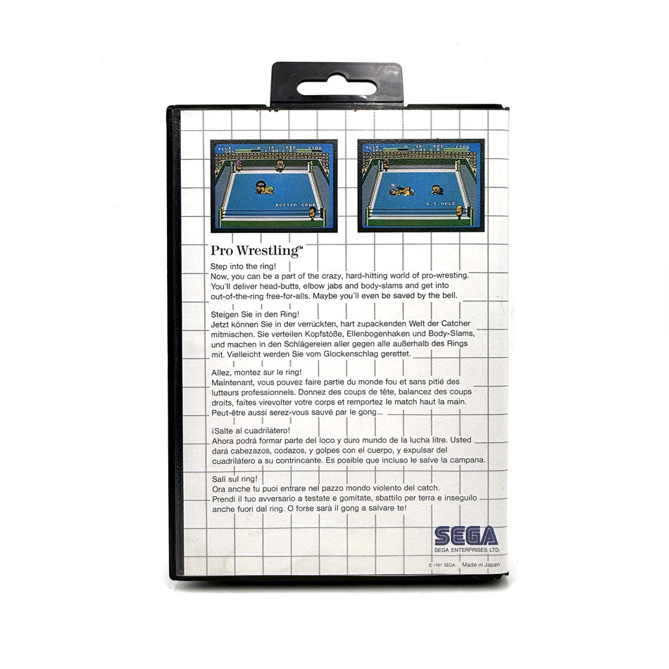 Pro Wrestling Sega Master System