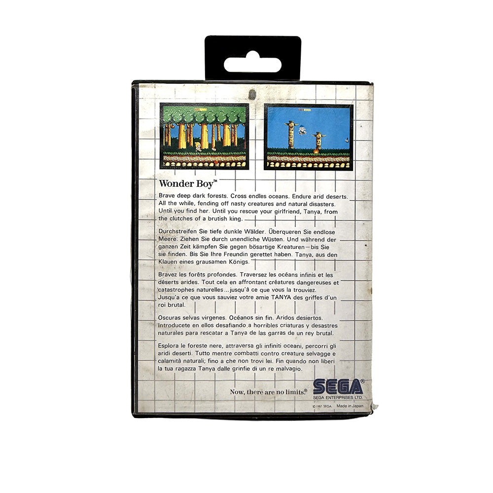 Wonder Boy Sega Master System