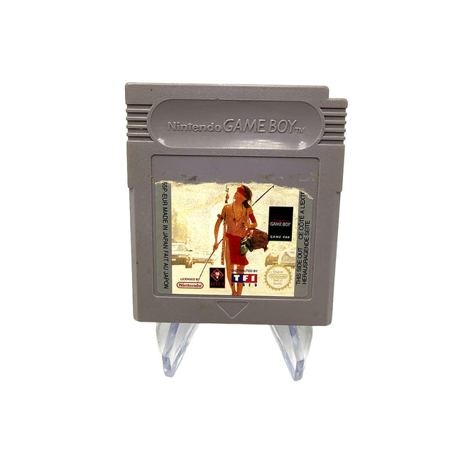 Un Indien dans la ville Nintendo Game Boy