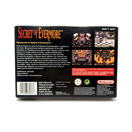 Secret Of Evermore Super Nintendo