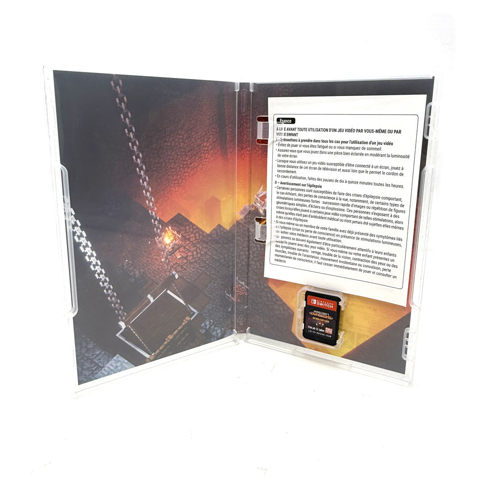 Minecraft Dungeons Hero Edition Nintendo Switch