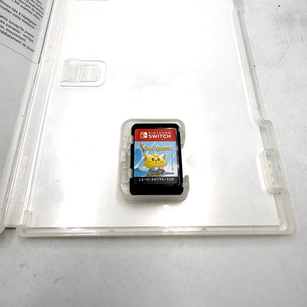 Cat Quest Nintendo Switch