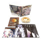 Agarest Generations of War Playstation 3 Collector's Edition